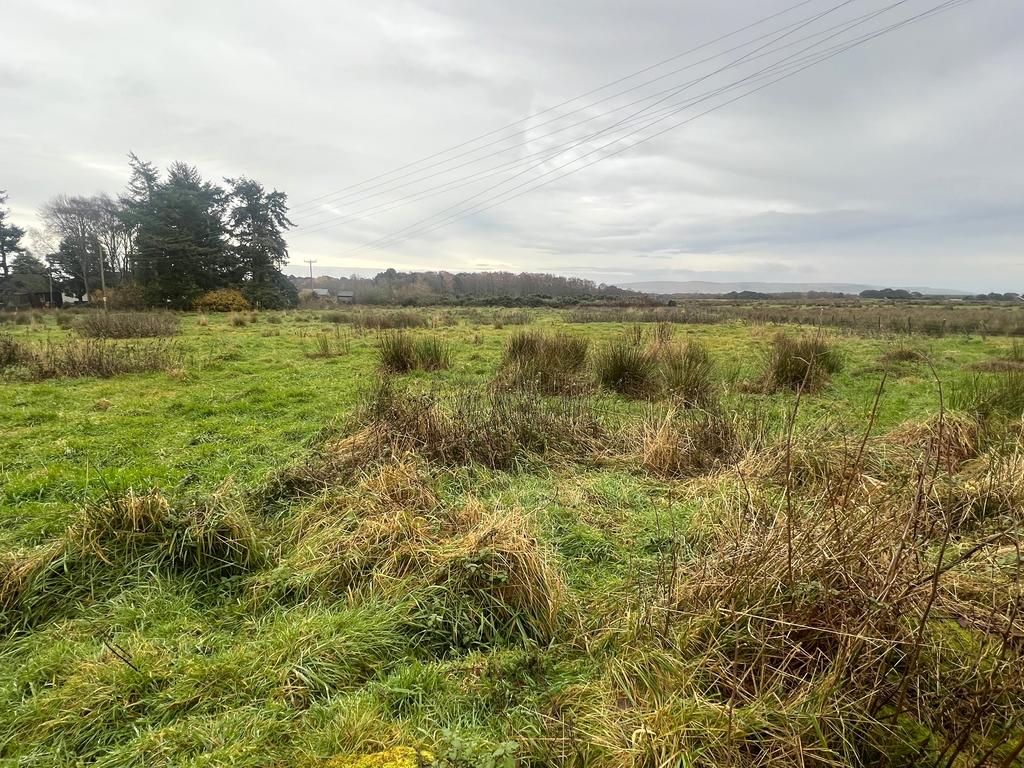 Plot 2