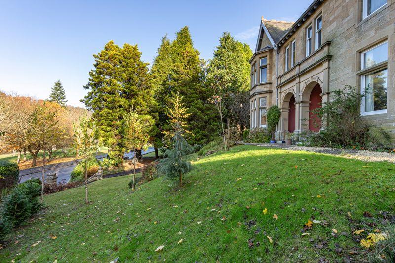 Across Front Garden
