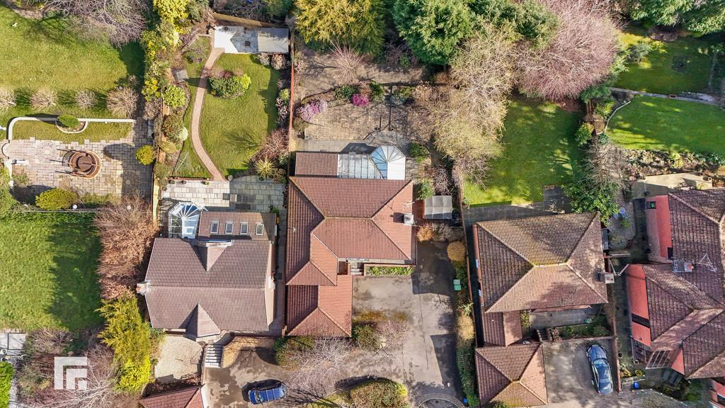 Dji 20250311113729 0461 d (1)