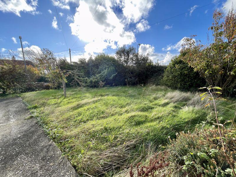 Side Garden