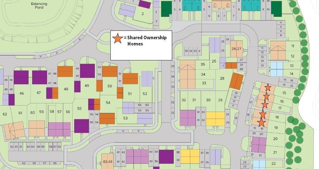 Site Layout