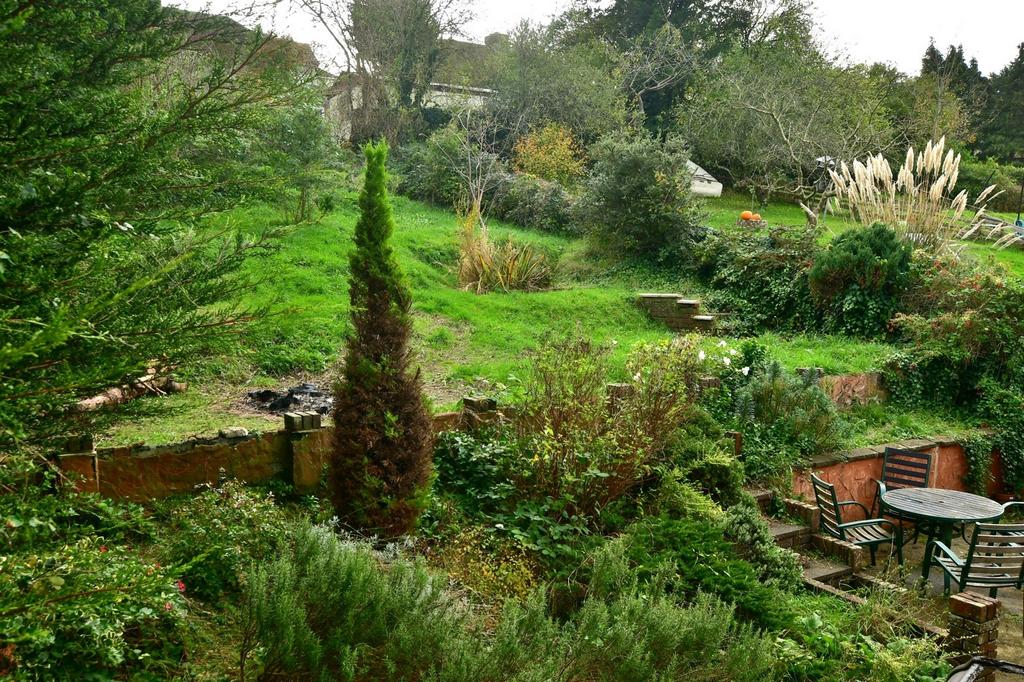 Rear Garden (Original)