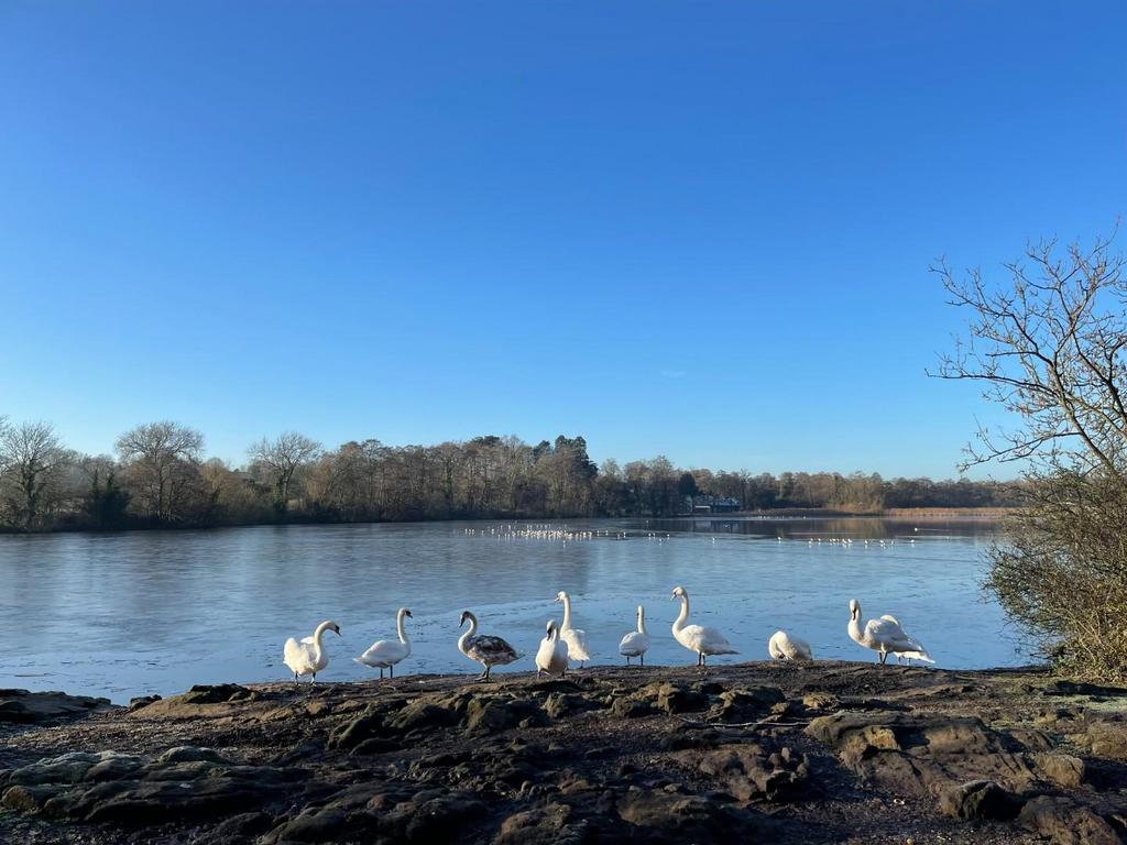 Groby Pool