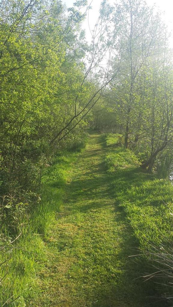 Lake Path.jpg