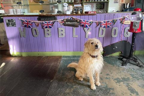 3 bedroom house for sale - Wobbly Dog Cafe and 11, Lionel, Lionel, Isle of Lewis, Eilean Siar, HS2