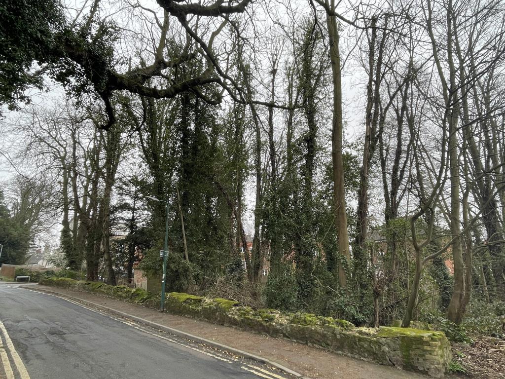 View of frontage of woodland plot