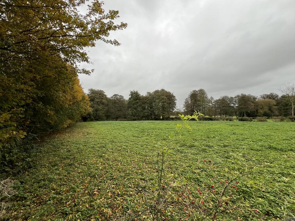 Norwich Road, Corpusty, Norfolk Land for sale £40,000