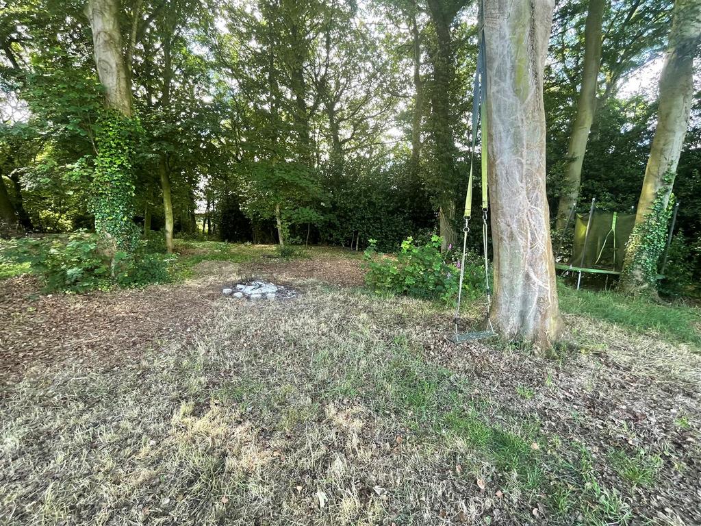 Img 3799.jpg