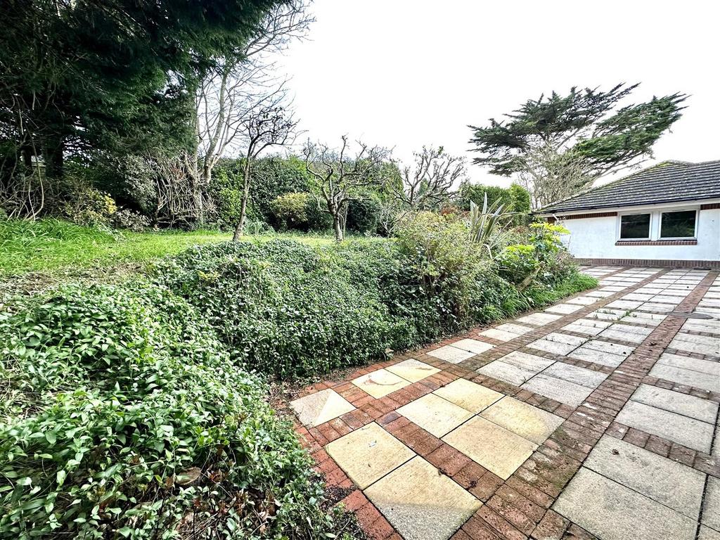 Rear Patio