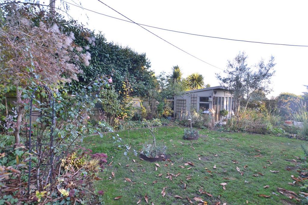 Garden 4.JPG