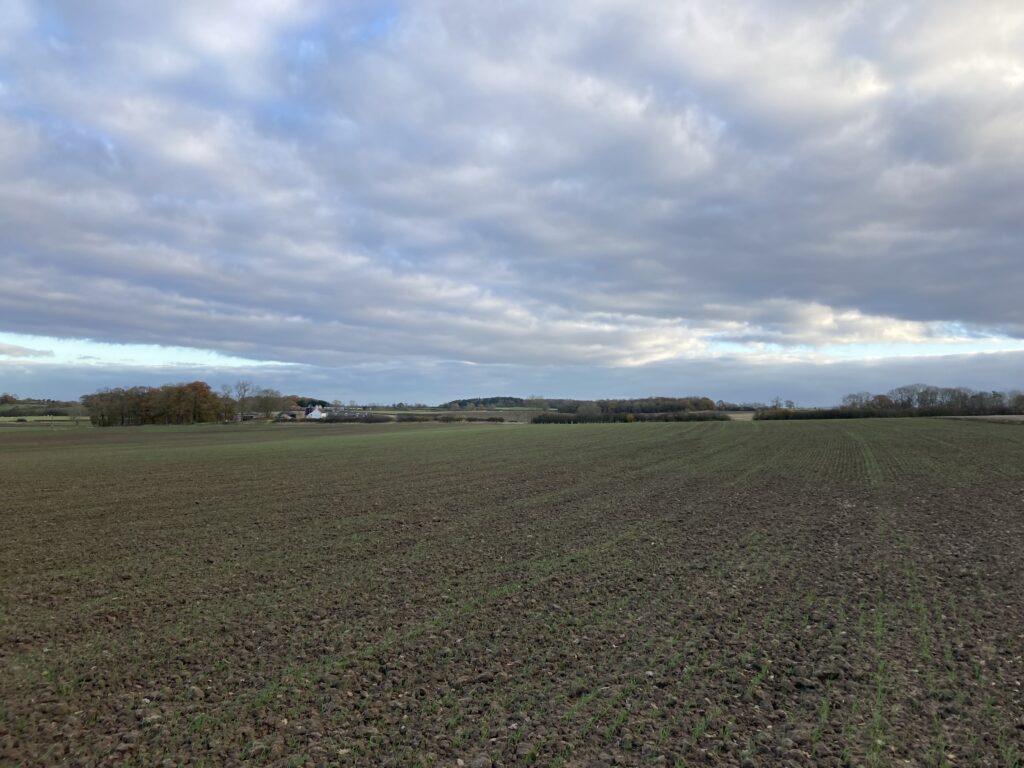 55.25 Acres Approx of Prime Arable... Farm land £495,000