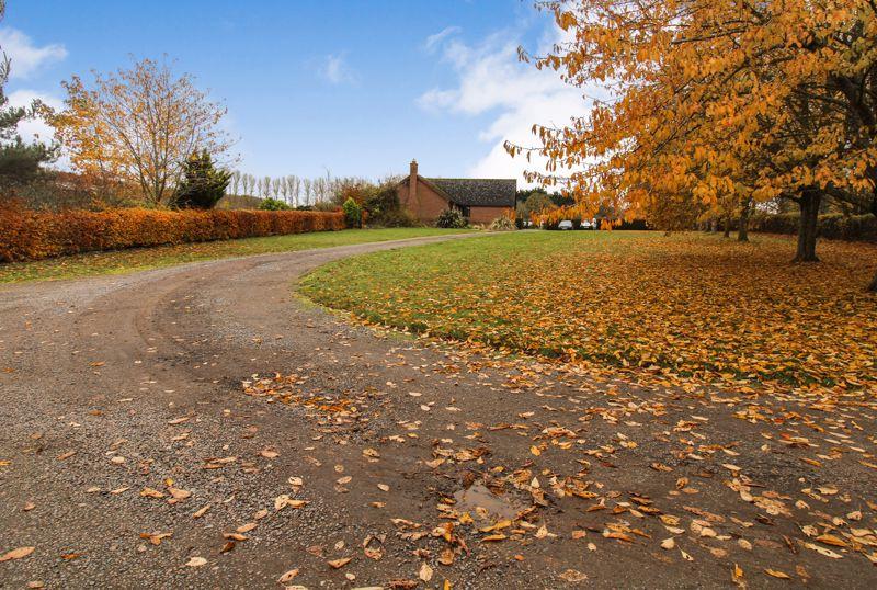 Front/Driveway
