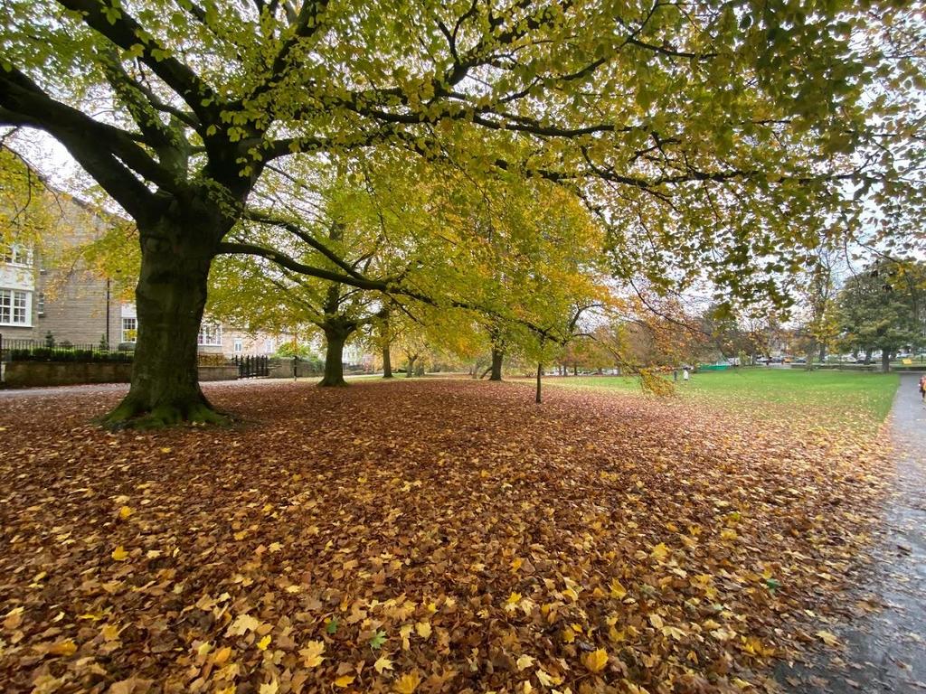 IMG 0078.jpg