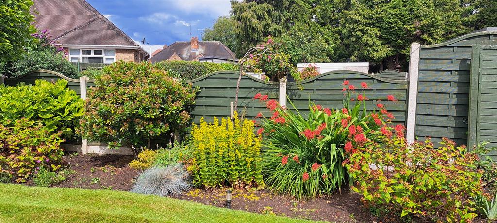 80 wilson street garden 2.jpg