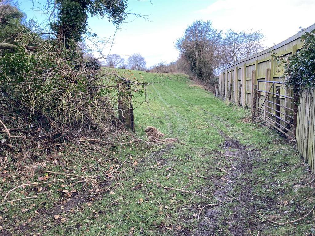 IMG 0979.jpg