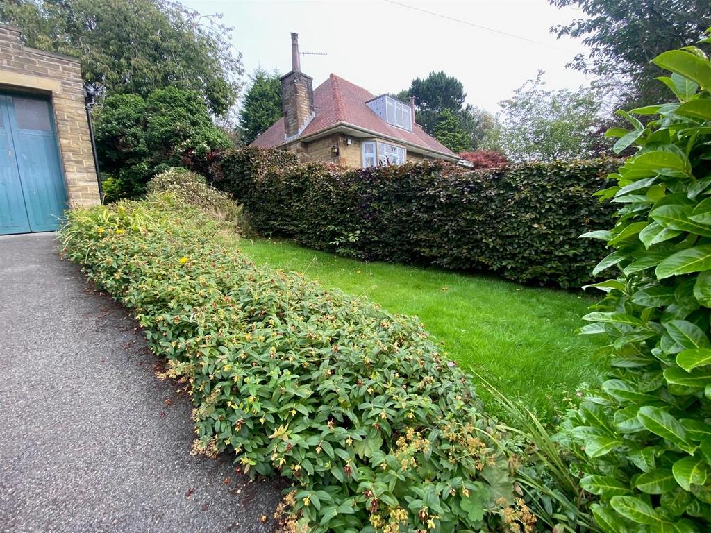 Garden  .jpg