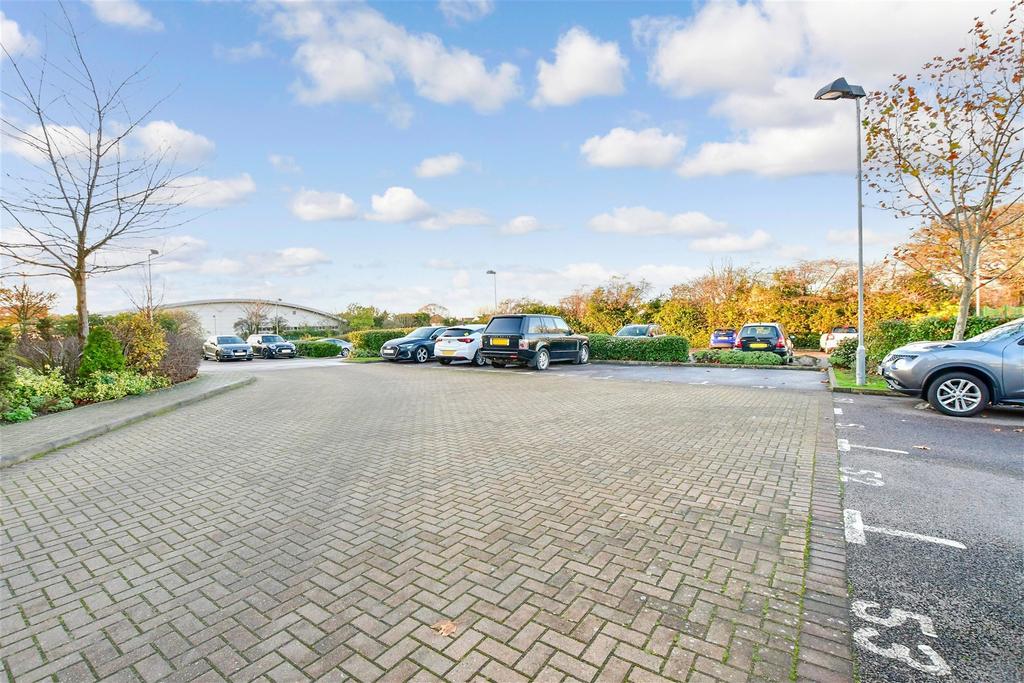 Driveway/Parking