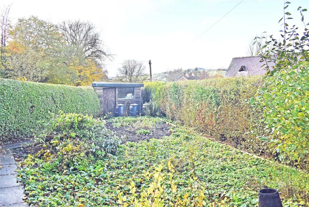 Vegetable Garden