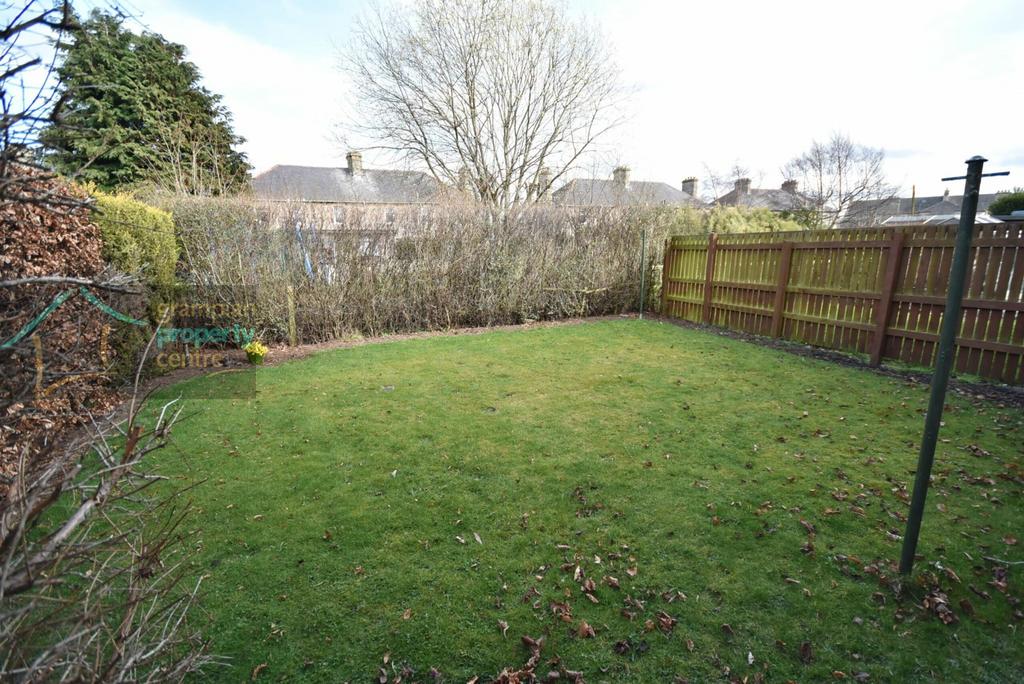 New garden.JPG