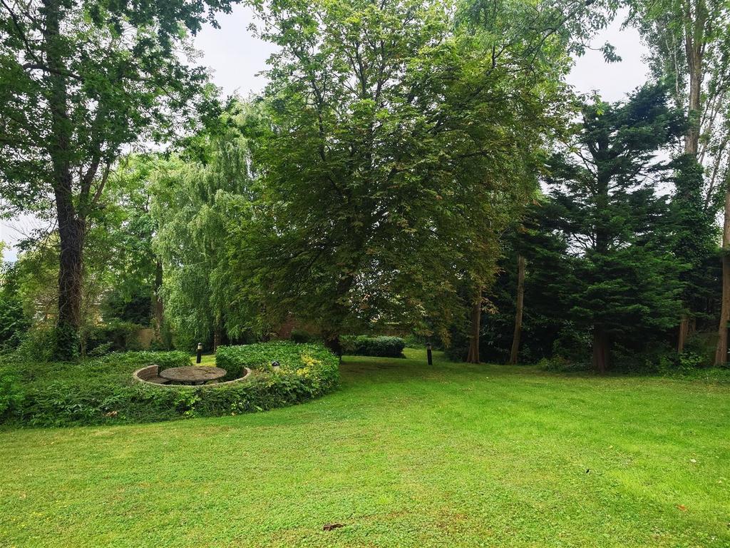 IMG 20240802 134241.jpg