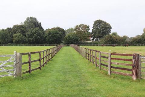 2 bedroom equestrian property for sale - Land and cottage at Old Buckenham Stud