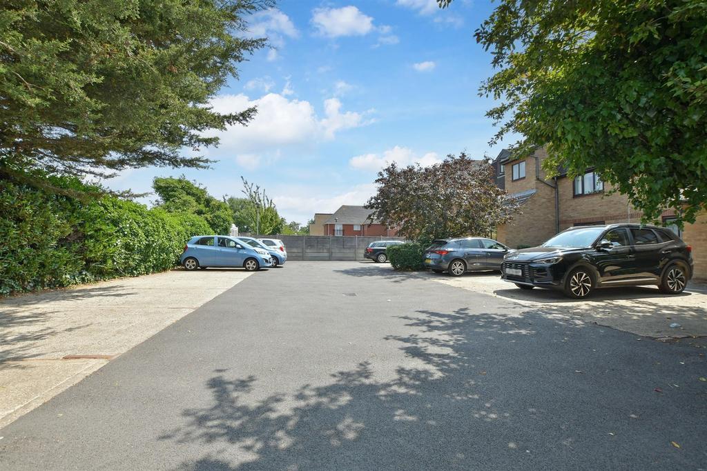 Driveway/Parking