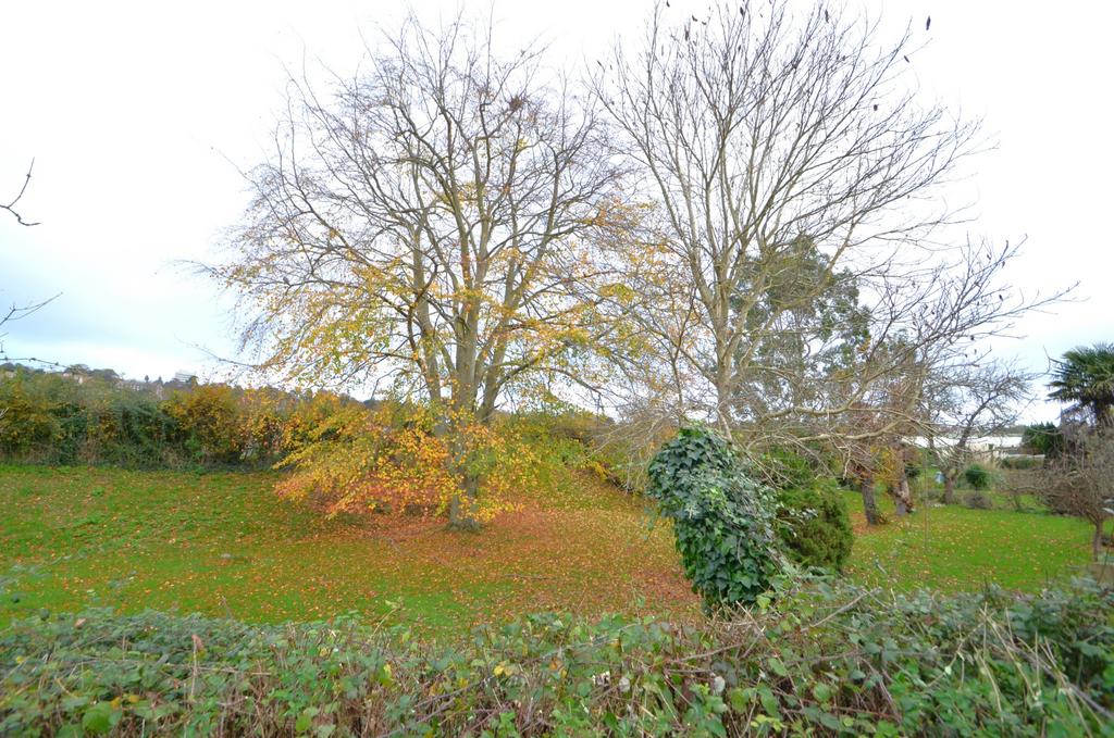Surroundings