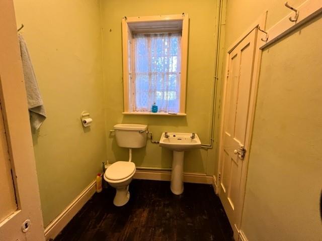 Pic 39.jpg
