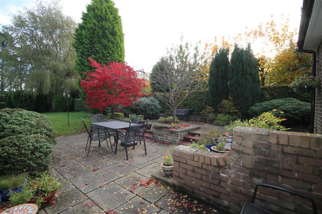 Rear Patio