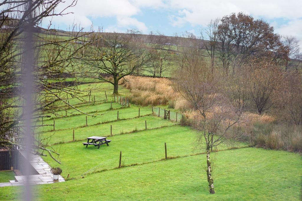 Photograph 56