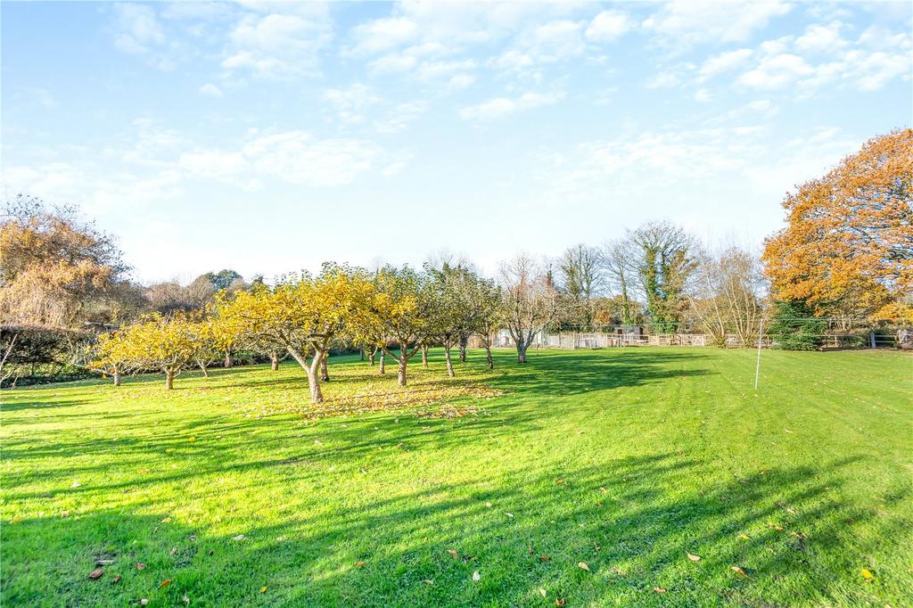 Grounds