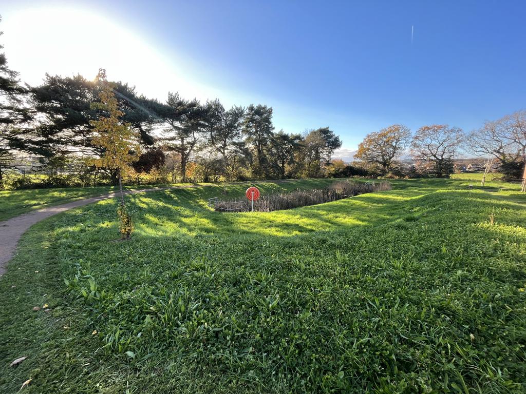 Green Space