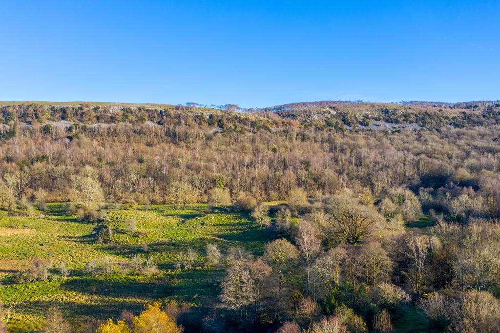 View of Whitbarrow Scar from Rear