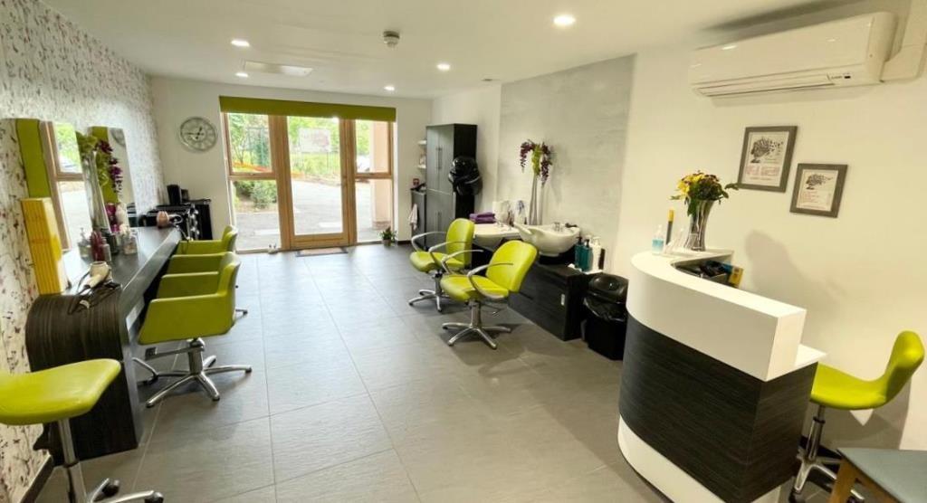 The Salon