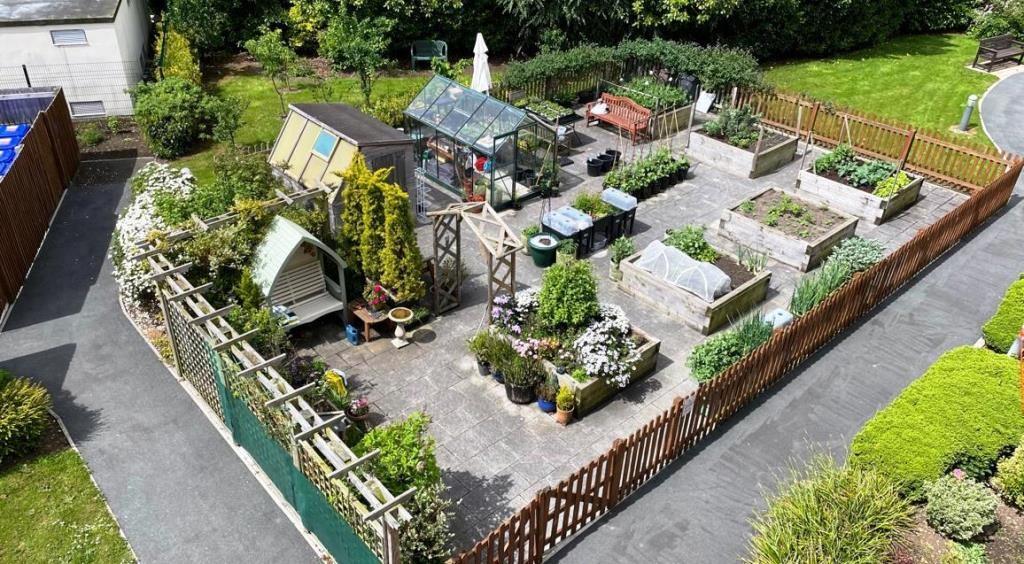 The Planting Area