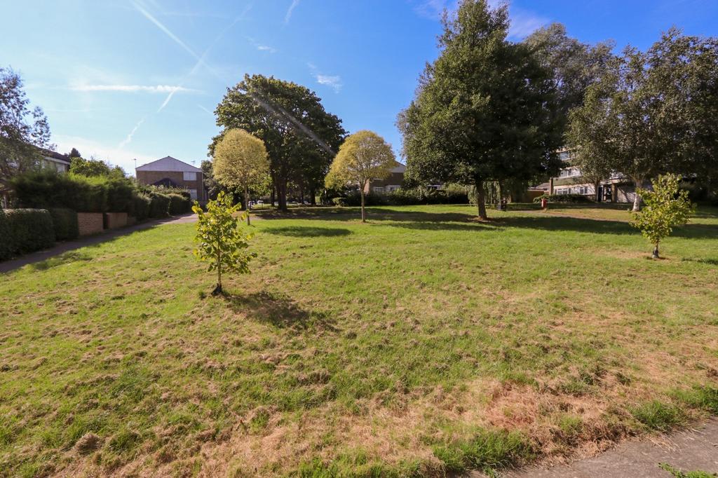 Grounds