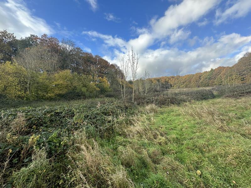 Land At Falcon Lane, Ledbury, Herefordshire, HR8 2jn Land for sale £