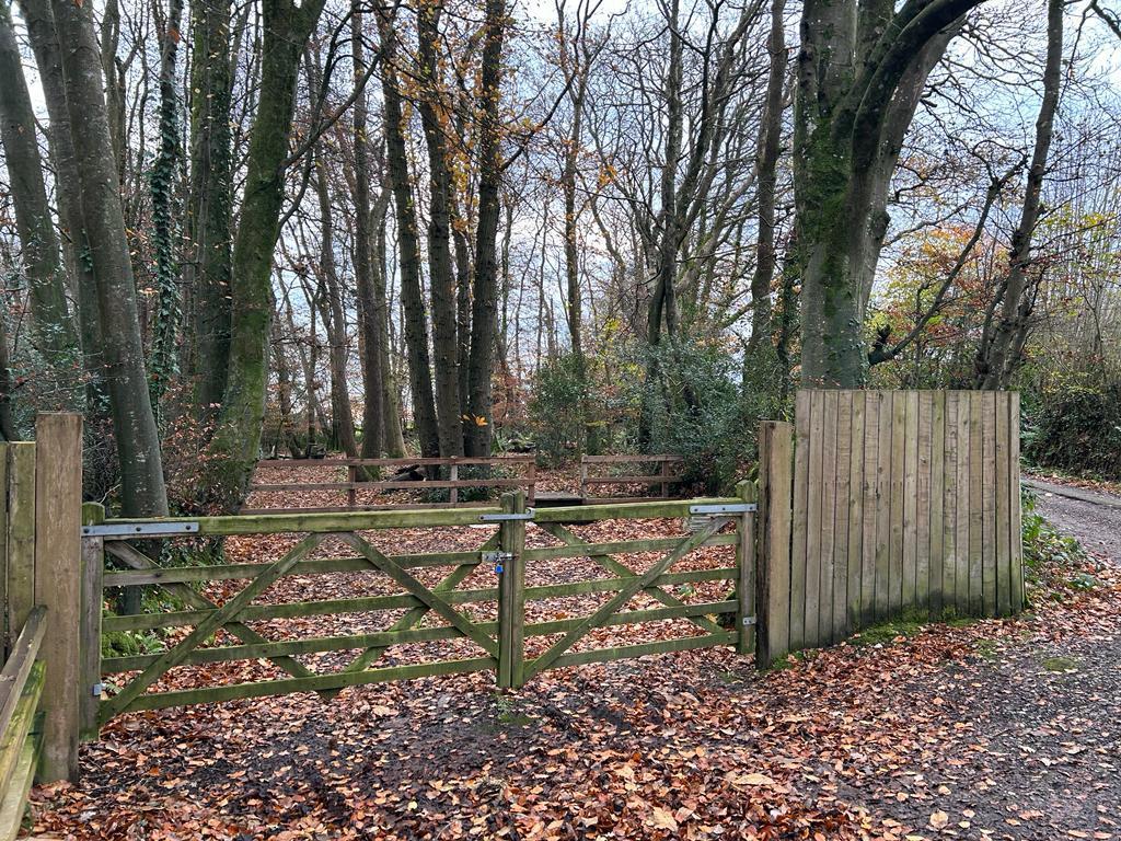 Jobbles Lane, Colyford, Colyton Land for sale £25,000