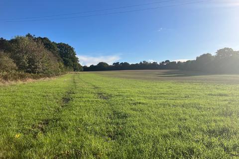 Farm land to rent - Blackhall Lane, Sevenoaks, Kent