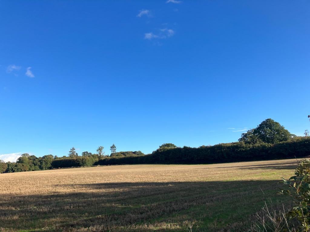 Blackhall Lane, Sevenoaks, Kent Farm land to rent £1 pcm (£0 pw)