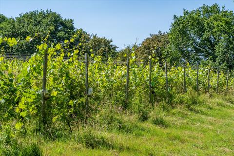 Land for sale - Vineyard at Wick Hill, Bremhill, Calne, Wiltshire, SN11 (Lot 2)