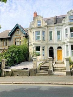1 bedroom flat to rent - Whitefield Terrace, Greenbank PL4