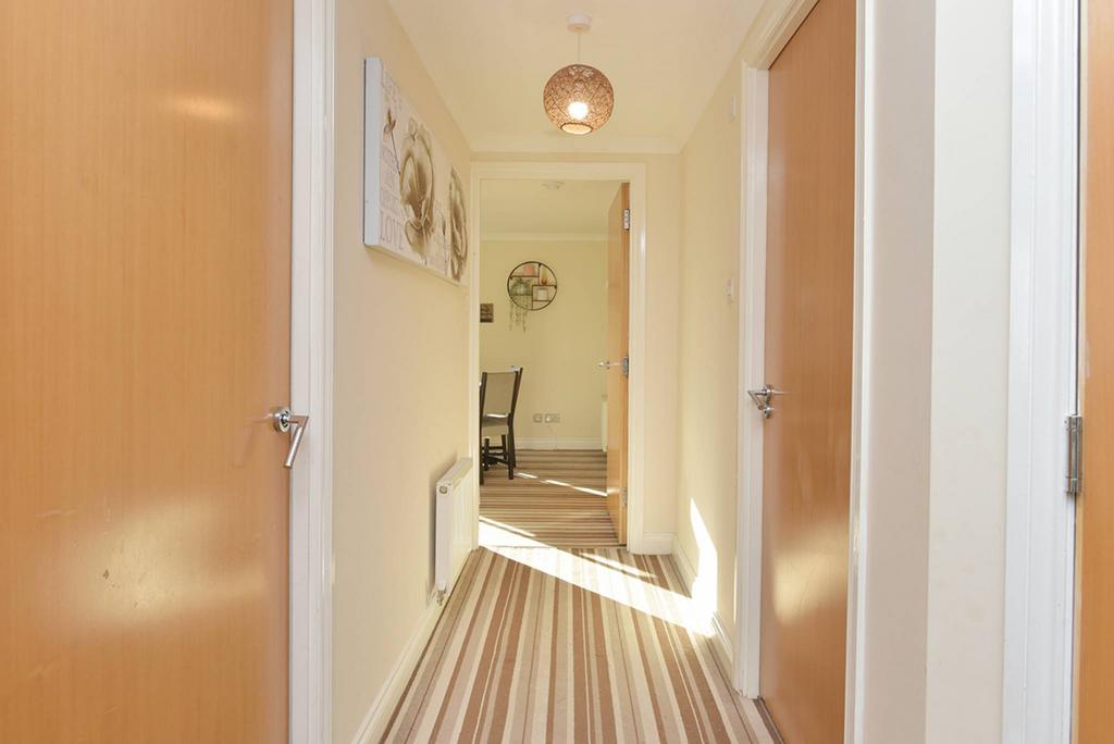 MFL3228660 558.jpg