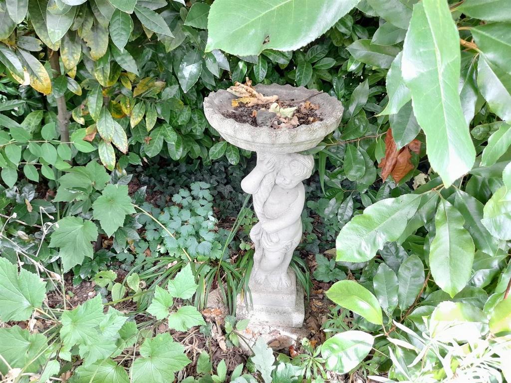 Garden.jpg