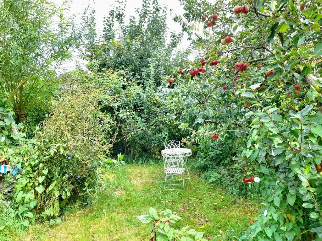 Rear garden 1.jpg