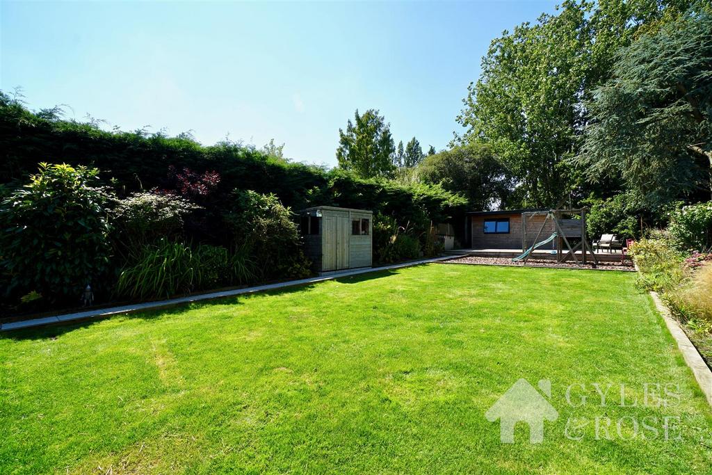 Back garden