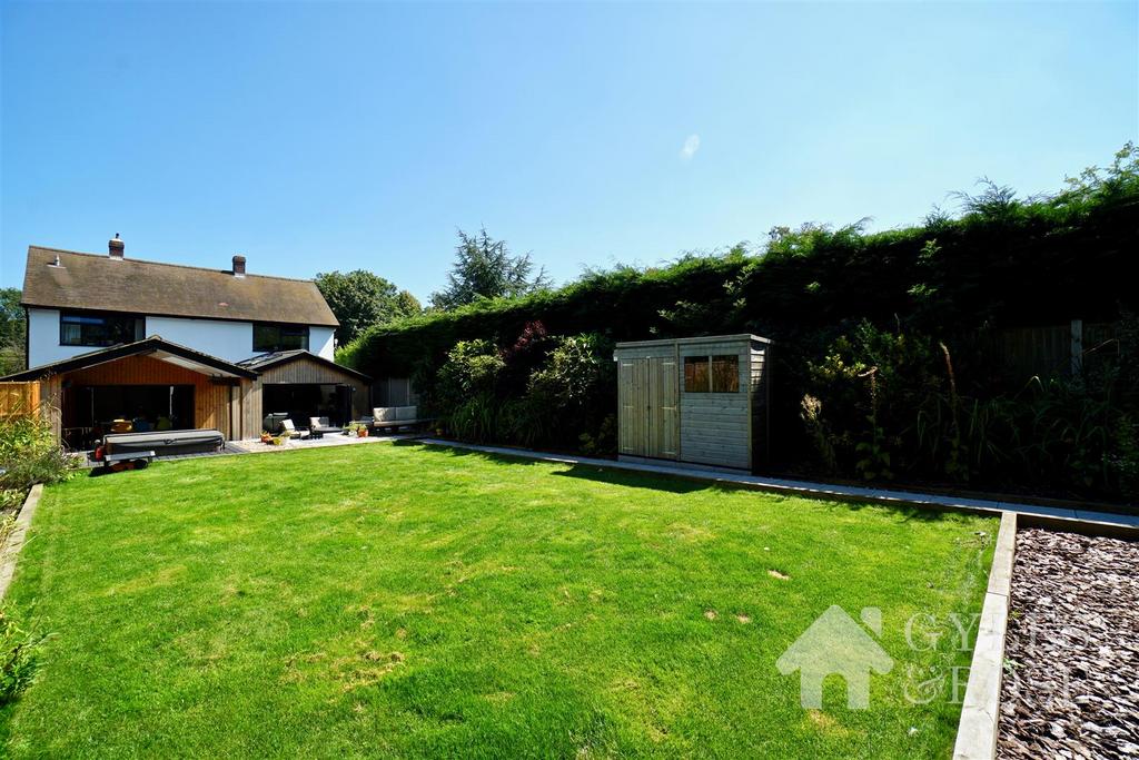 Back garden