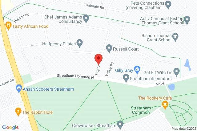 Google Maps Image