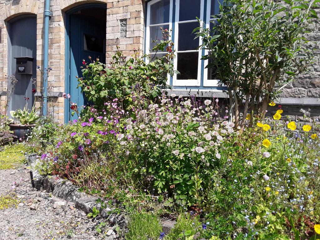 Mid Terrace Cottage