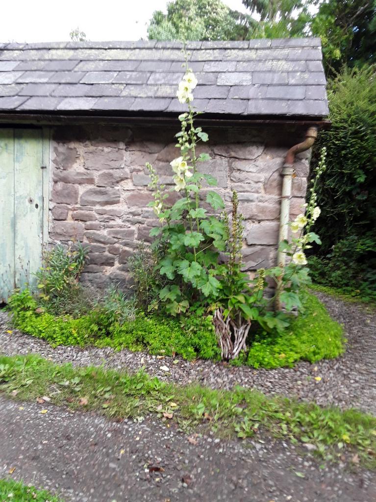 Mid Terrace Cottage